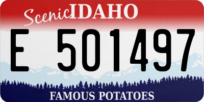 ID license plate E501497