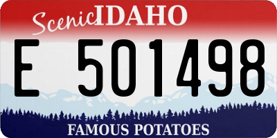 ID license plate E501498