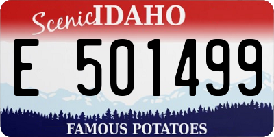 ID license plate E501499