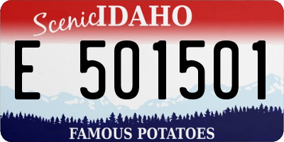 ID license plate E501501