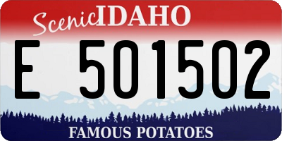 ID license plate E501502
