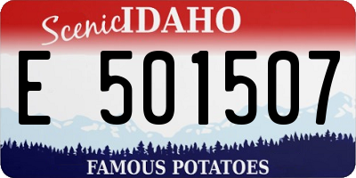 ID license plate E501507