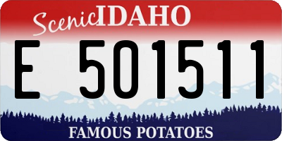 ID license plate E501511