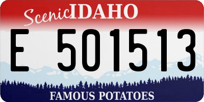 ID license plate E501513