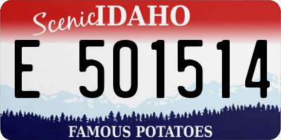 ID license plate E501514