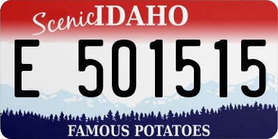ID license plate E501515
