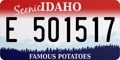 ID license plate E501517
