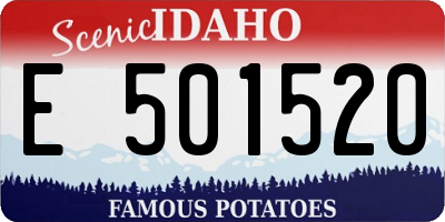ID license plate E501520
