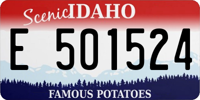 ID license plate E501524