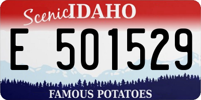 ID license plate E501529