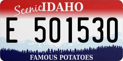 ID license plate E501530