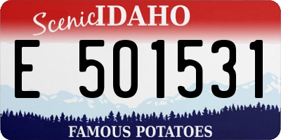 ID license plate E501531