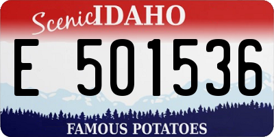 ID license plate E501536