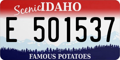 ID license plate E501537