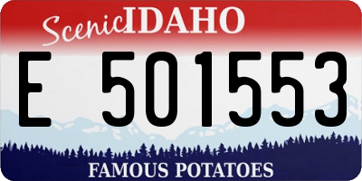 ID license plate E501553
