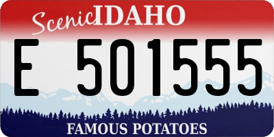 ID license plate E501555
