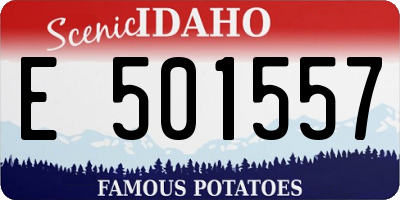 ID license plate E501557