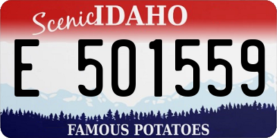 ID license plate E501559
