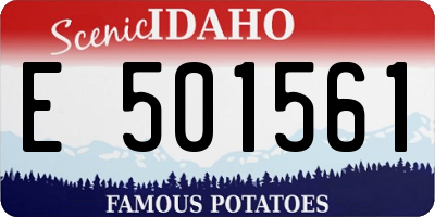 ID license plate E501561