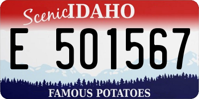 ID license plate E501567