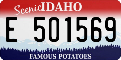 ID license plate E501569