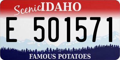 ID license plate E501571