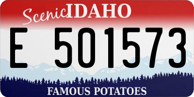 ID license plate E501573