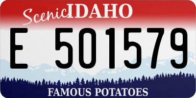 ID license plate E501579