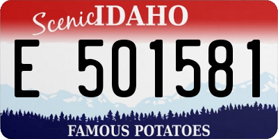 ID license plate E501581