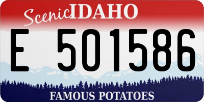 ID license plate E501586