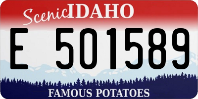 ID license plate E501589