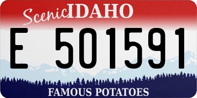 ID license plate E501591