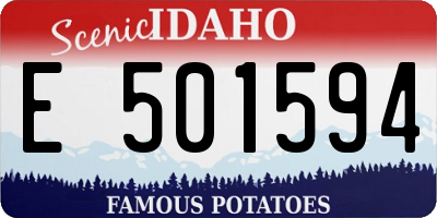 ID license plate E501594