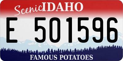 ID license plate E501596