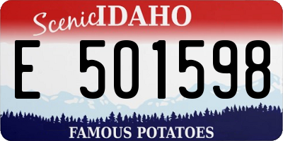 ID license plate E501598