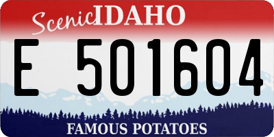 ID license plate E501604
