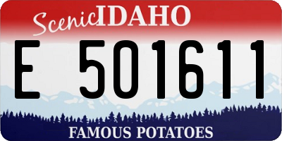 ID license plate E501611