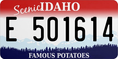 ID license plate E501614