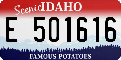 ID license plate E501616