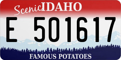 ID license plate E501617