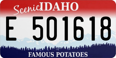 ID license plate E501618