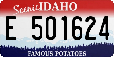 ID license plate E501624