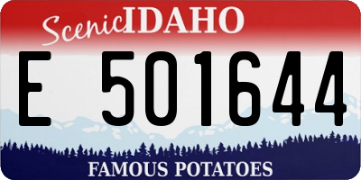 ID license plate E501644