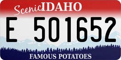 ID license plate E501652