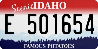 ID license plate E501654