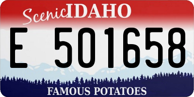 ID license plate E501658