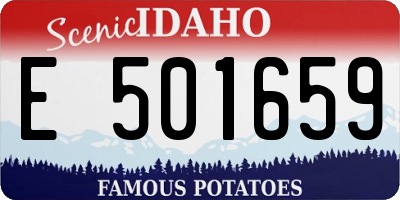 ID license plate E501659