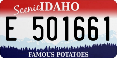ID license plate E501661
