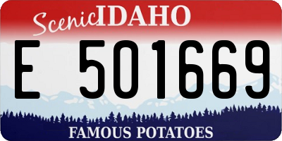 ID license plate E501669