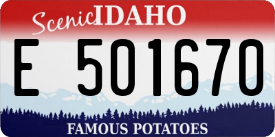 ID license plate E501670